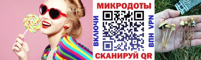 Псилоцибиновые грибы MAGIC MUSHROOMS  купить наркотик  Курлово 